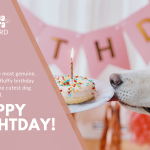 Dog Birthday Gift Card