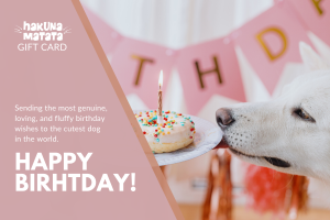 Dog Birthday Gift Card