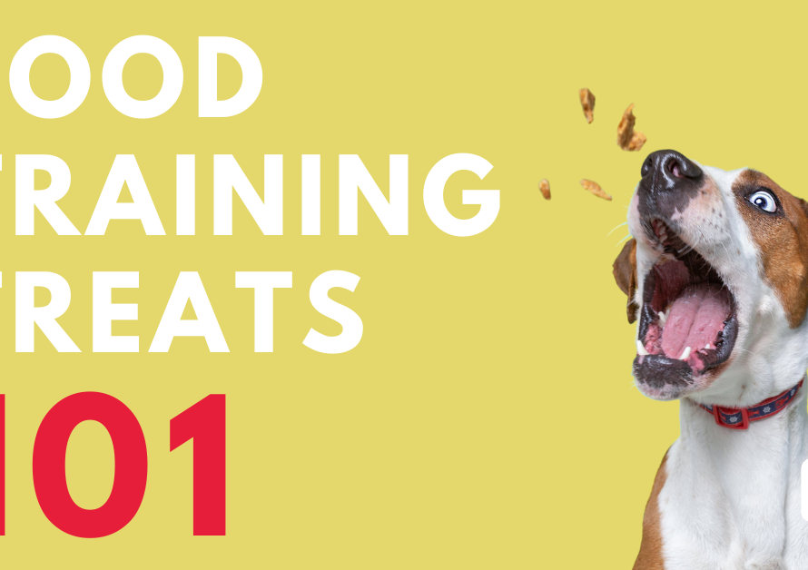 Food dog training treats 101