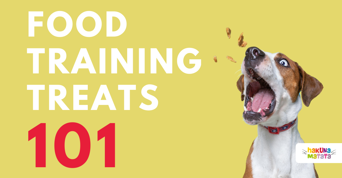 Food dog training treats 101