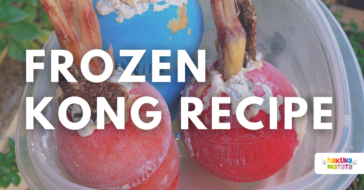 frozen kong recipe for dogs