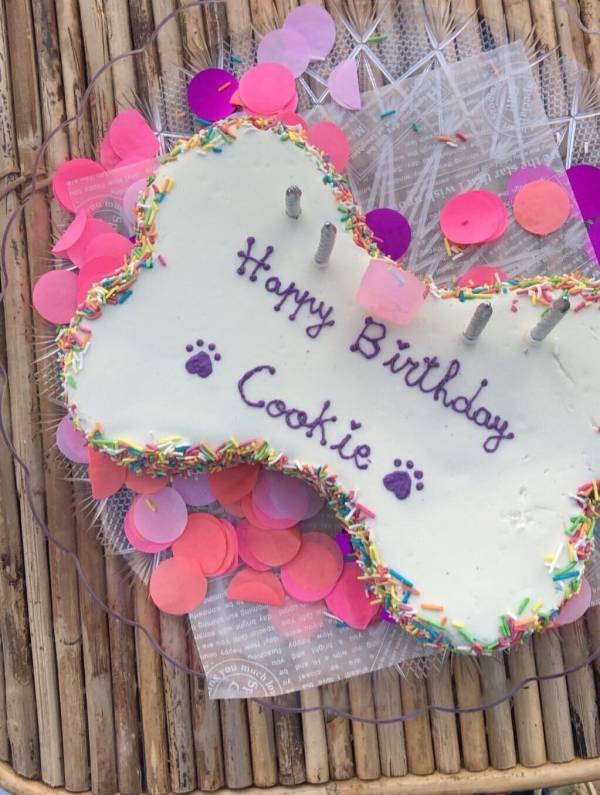 dog bone birthday cake