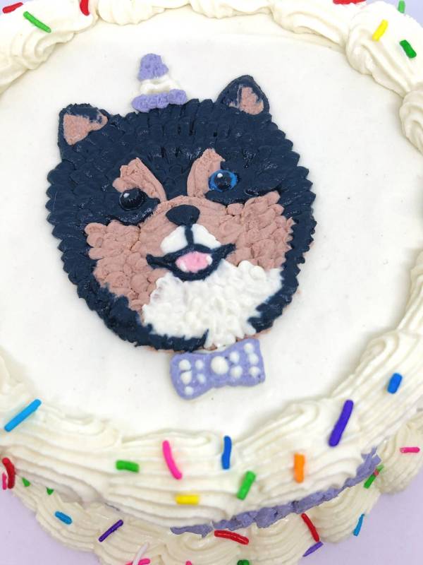 customized dog cake - hand painted dog face on cake