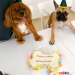 bone cake