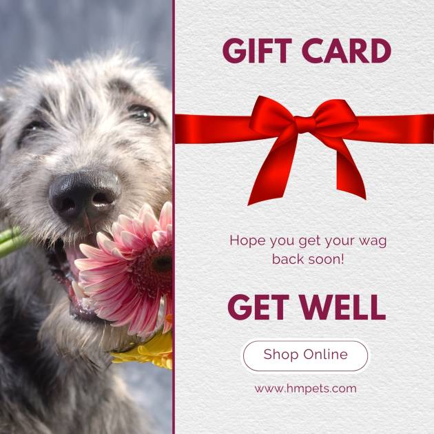 get well soon gift card E-gift card gift voucher to dog owner and dog lover HAkuna matata dog treats