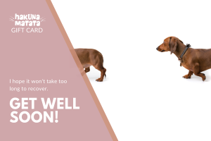 dog get well soon gift card