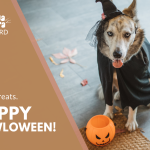 dog halloween gift card