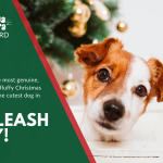 christmas gift card