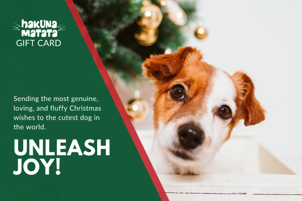 christmas gift card