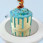 Donut Drip cake for dogs birthday cake for dogs hakuna matata dog treats