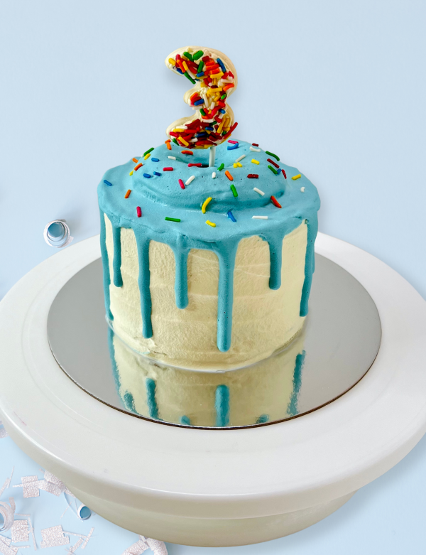 Donut Drip cake for dogs birthday cake for dogs hakuna matata dog treats