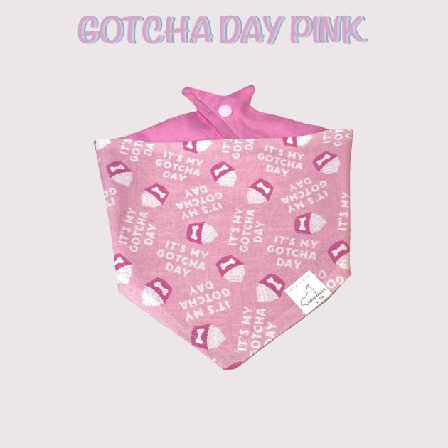 Gotcha day pink dog bandana dog apparel hakuna matata dog treats