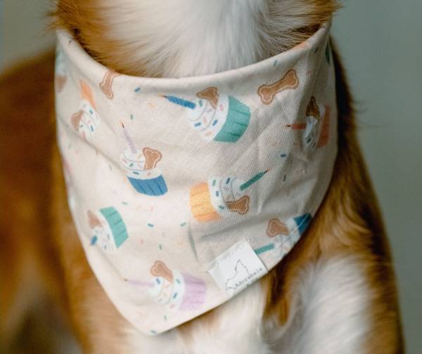 Pawty Time dog bandana dog apparel hakuna matata dog treats